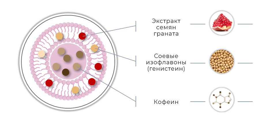 niosomi.jpg niosomi.jpg